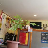 Rick's Repair Service ico