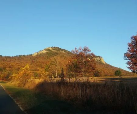 Mountain Air Services