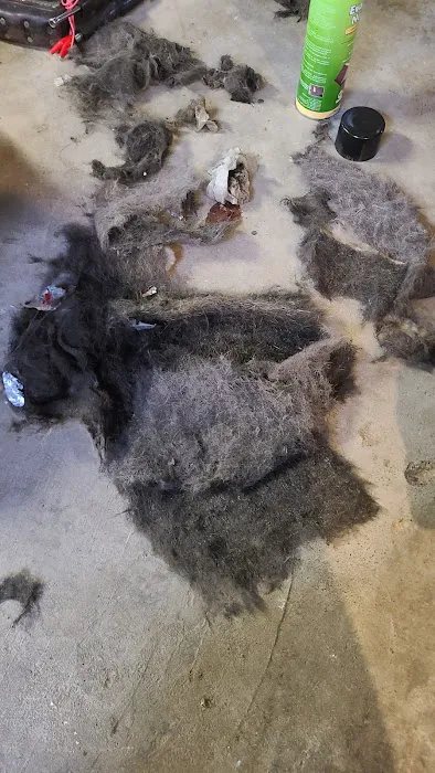 Kesterson Heating & Air Conditioning Co, Inc. Picture 4