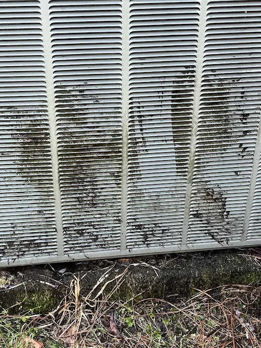 Bellevue Air Conditioning, Heating & Electric, LLC Picture 1