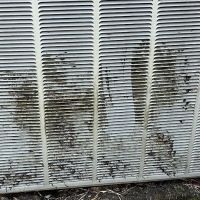 Bellevue Air Conditioning, Heating & Electric, LLC ico