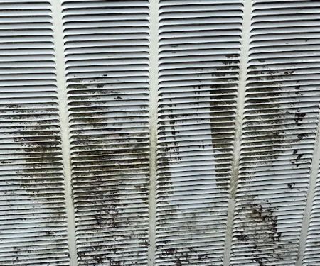 Bellevue Air Conditioning, Heating & Electric, LLC