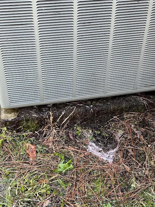 Bellevue Air Conditioning, Heating & Electric, LLC Picture 4