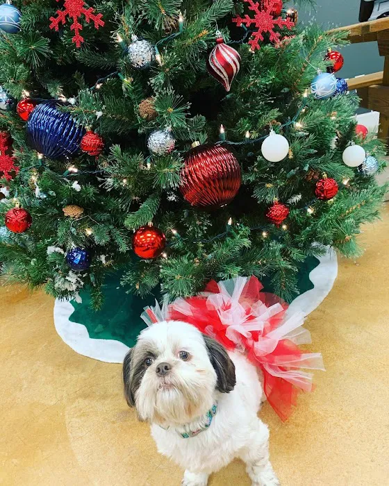 All Temp Heating & Cooling, LLC Picture 1