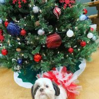 All Temp Heating & Cooling, LLC ico