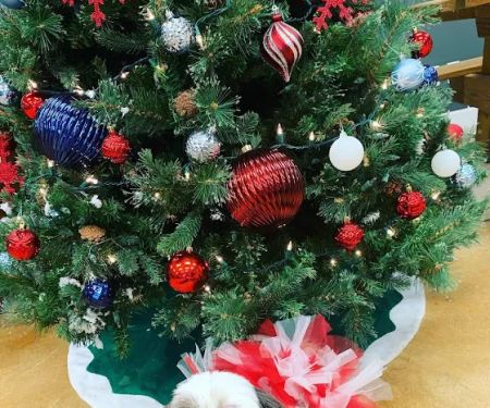 All Temp Heating & Cooling, LLC