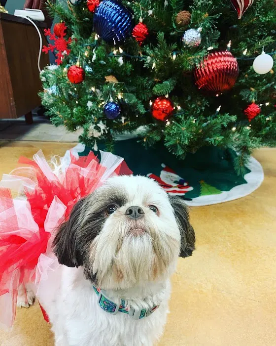 All Temp Heating & Cooling, LLC Picture 10