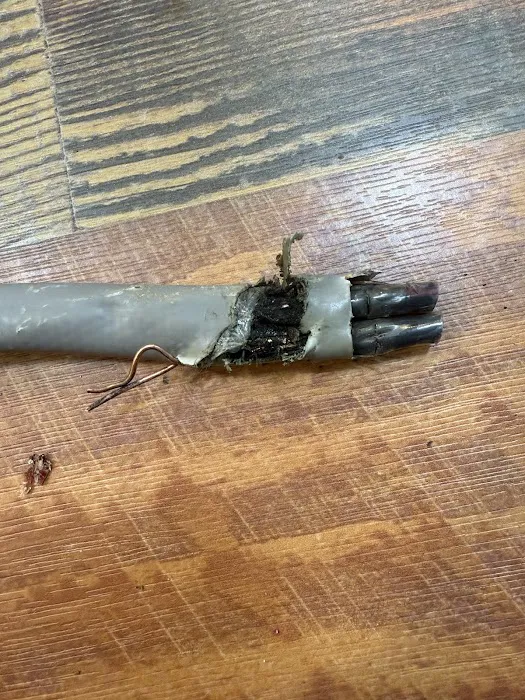 Bryant Heating, Cooling, Plumbing & Electric Picture 10