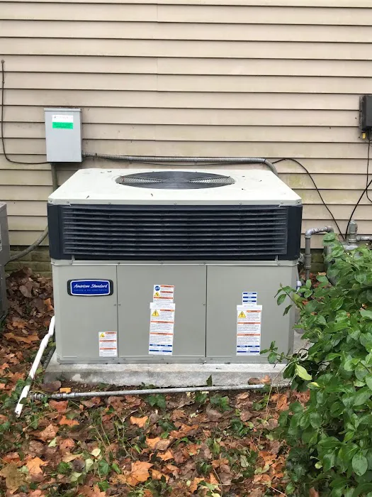 Synergy Services Picture 2