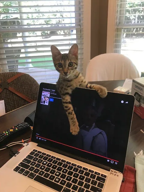 McCoy's Heating & Air Picture 3