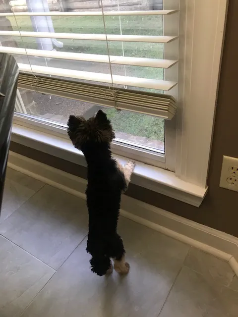 McCoy's Heating & Air Picture 1