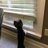 McCoy's Heating & Air ico