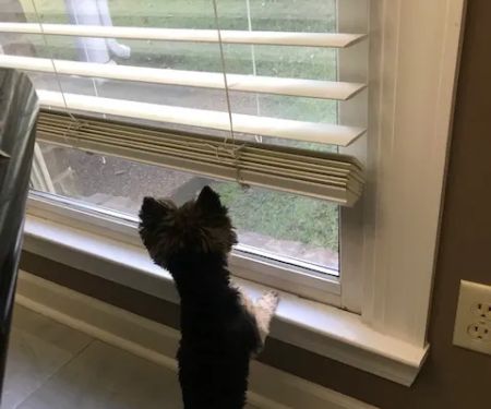 McCoy's Heating & Air