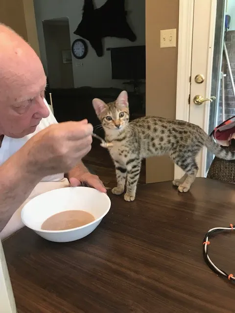 McCoy's Heating & Air Picture 2