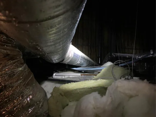 5M Services Picture 2