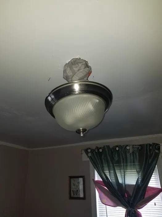 Professional Plumbing, Heating, & Cooling LLC Picture 8