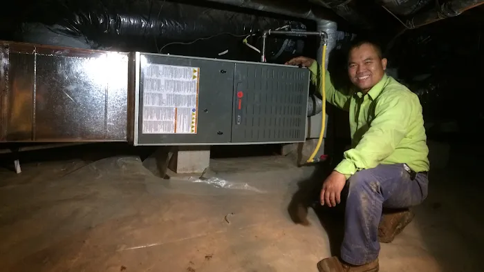 Eco Green Air Picture 5