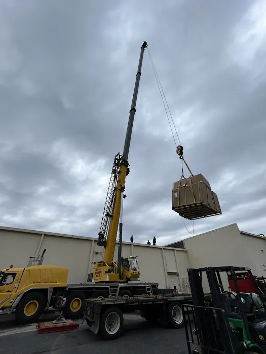 Eco Green Air Picture 4