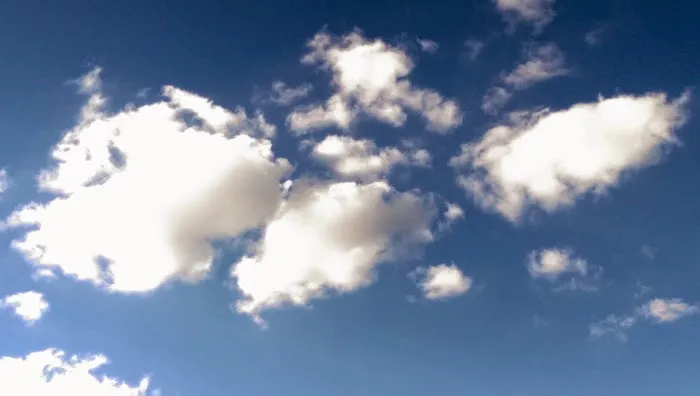 Lawrence Service Group Inc Picture 6