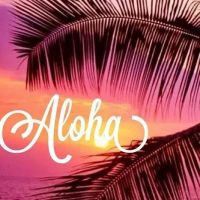 All American HVAC ico