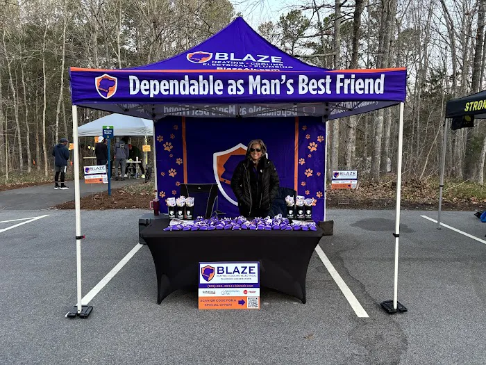 Blaze Heating, Cooling, Electrical & Plumbing - Triangle Picture 6