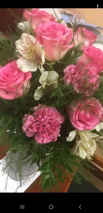 M & S Contractors Picture 1