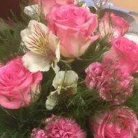 M & S Contractors ico