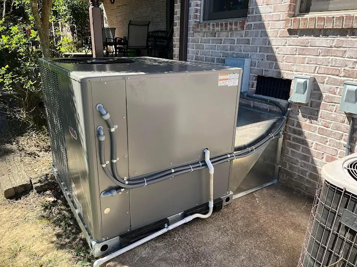 Cardinal Comfort Picture 5