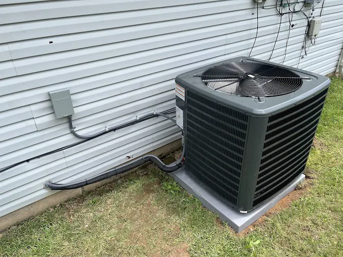 Cardinal Comfort Picture 2