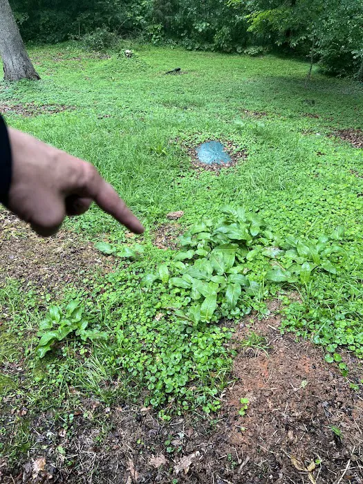 Pro N Stall Picture 1