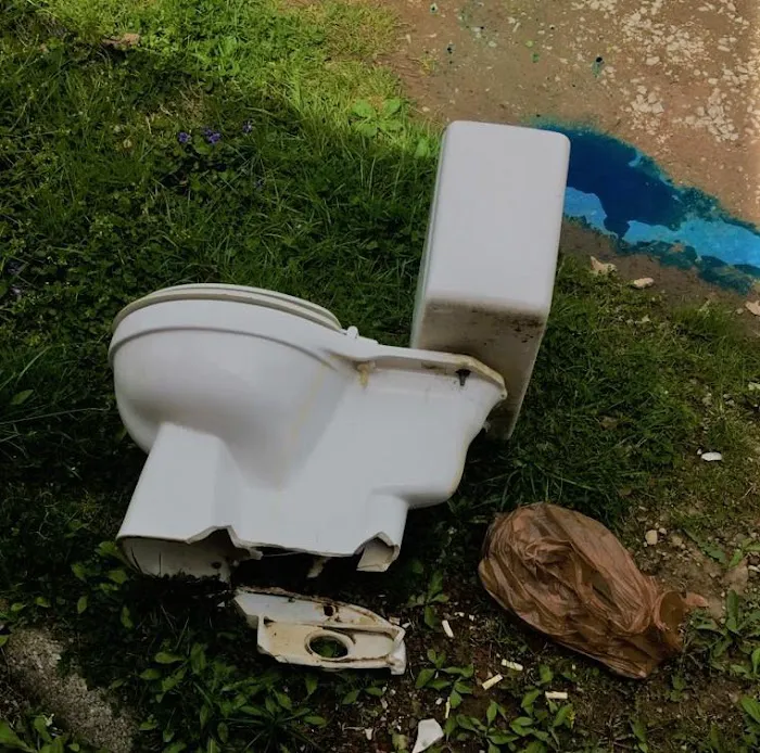 Pro N Stall Picture 6