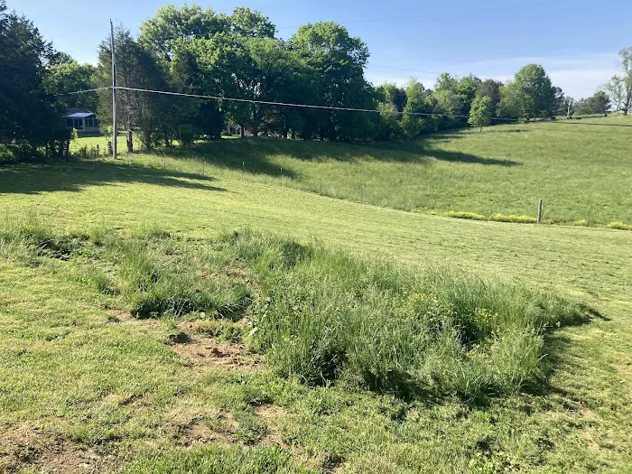 Pro N Stall Picture 2