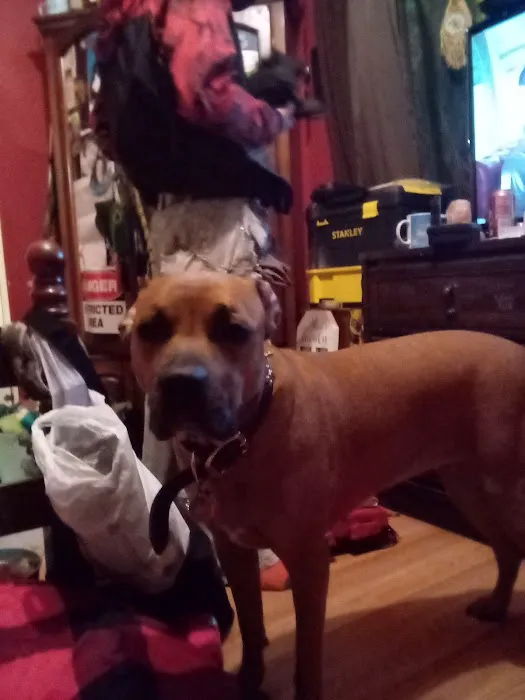 Cumberland Cooling, Inc Picture 3