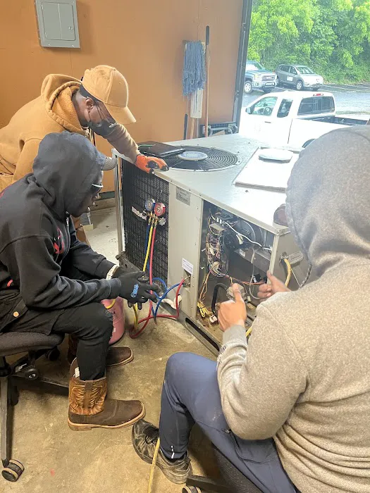 TradeMentor Academy Picture 4