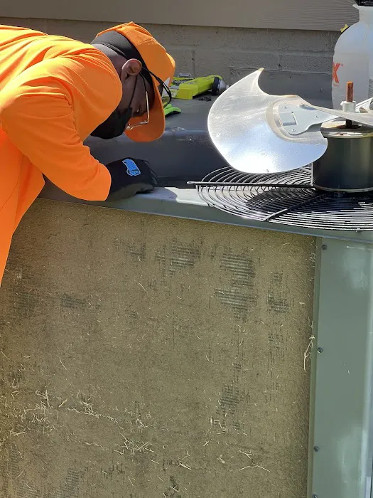 TradeMentor Academy Picture 6