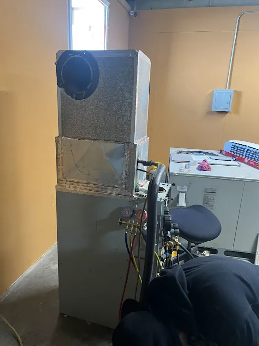 TradeMentor Academy Picture 3