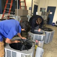 TradeMentor Academy ico