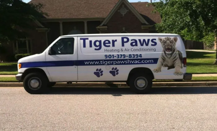 Tiger Paws Picture 2