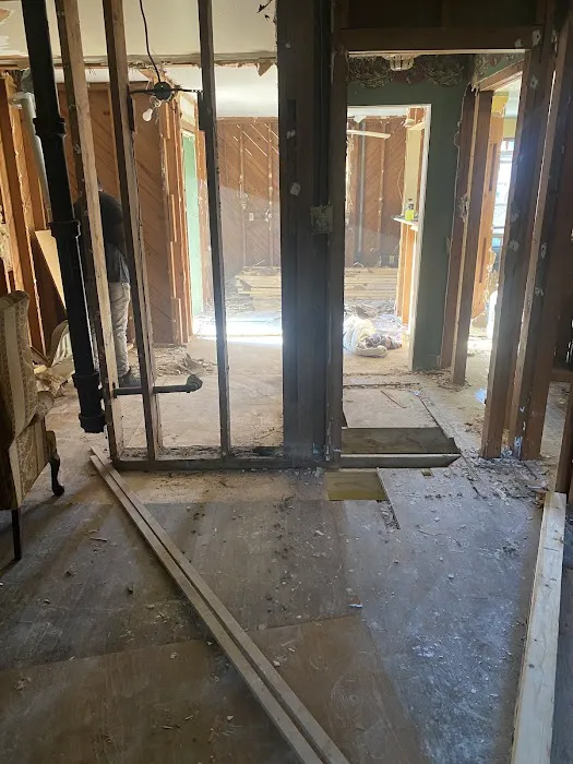 Hoovers Electric Picture 2