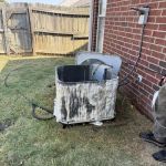 The Comfort Guardians