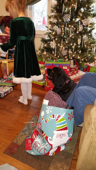 Furr's HVAC / Electrical / Plumbing Picture 4