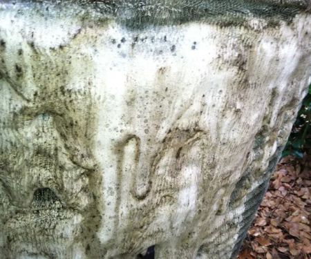 Ambrose Heating and Cooling