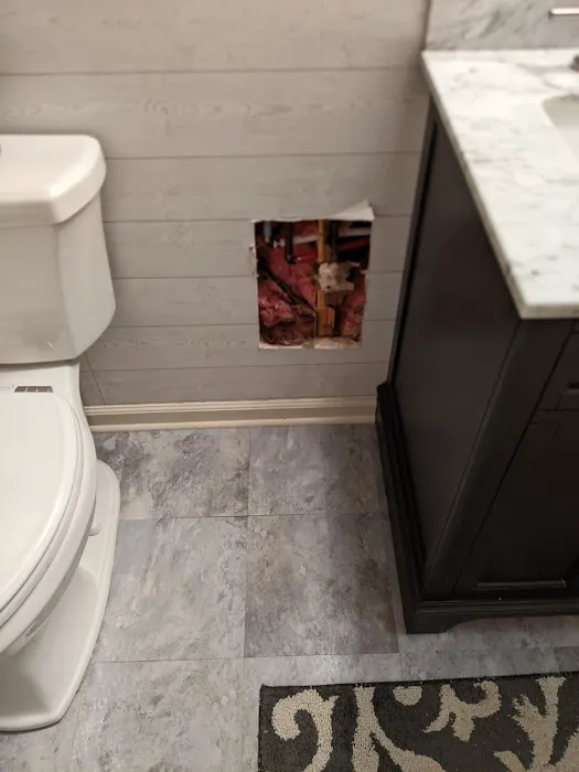 Bell Cow Services Picture 3