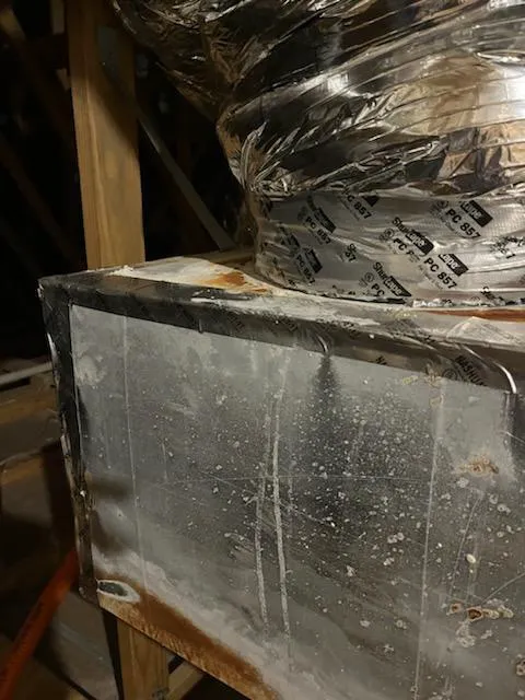 Bell Cow Services Picture 10