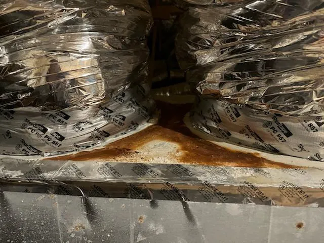 Bell Cow Services Picture 8