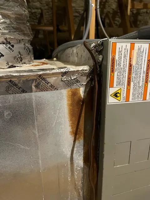 Bell Cow Services Picture 6