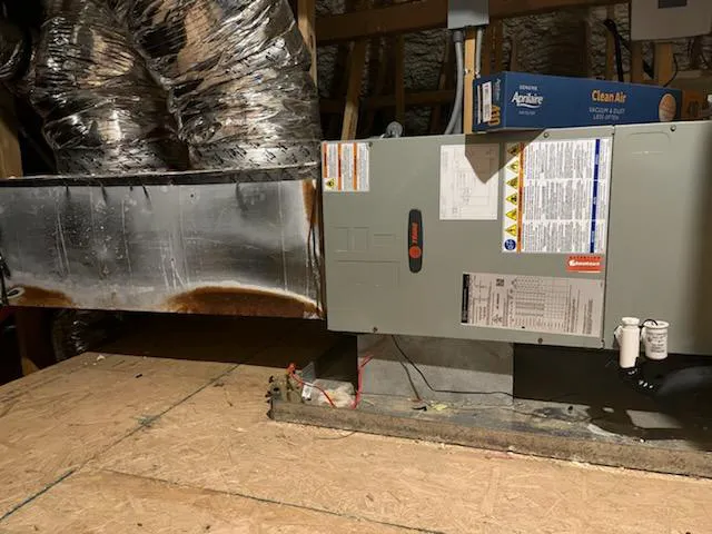 Bell Cow Services Picture 7