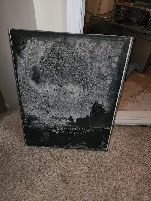 The Air Ducters Picture 3