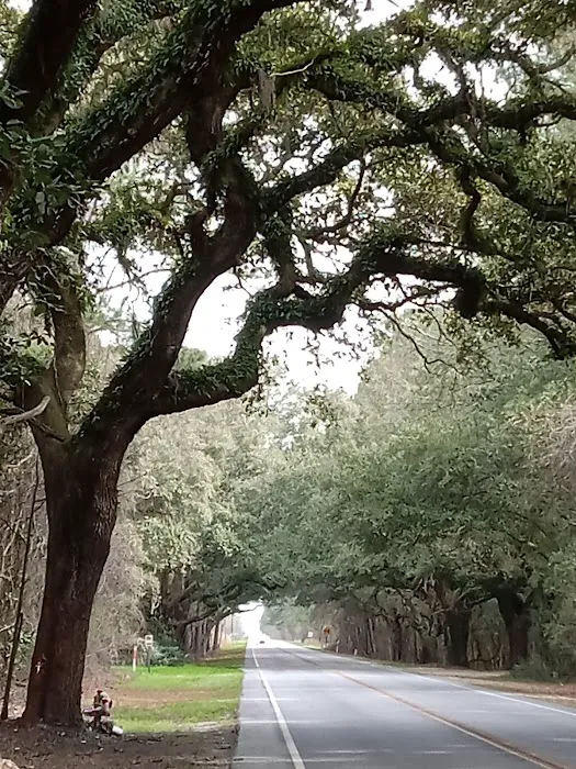 East Coast Heating and A/C Picture 4