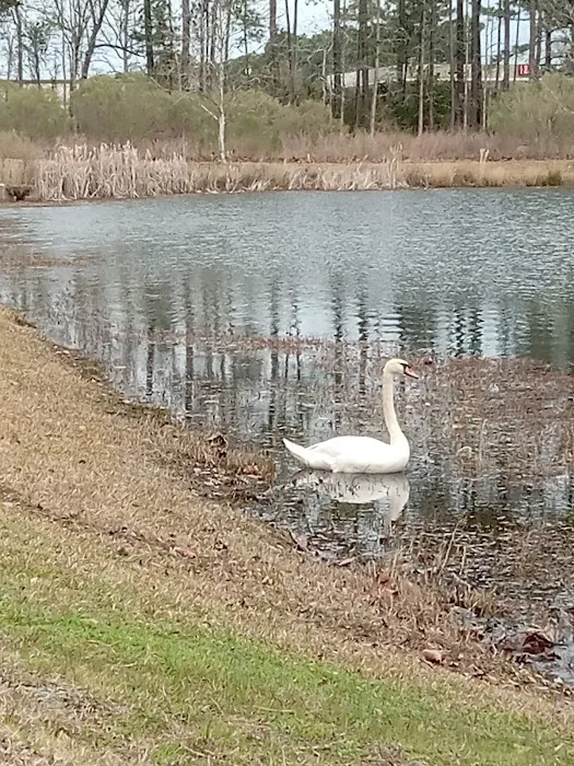 East Coast Heating and A/C Picture 5